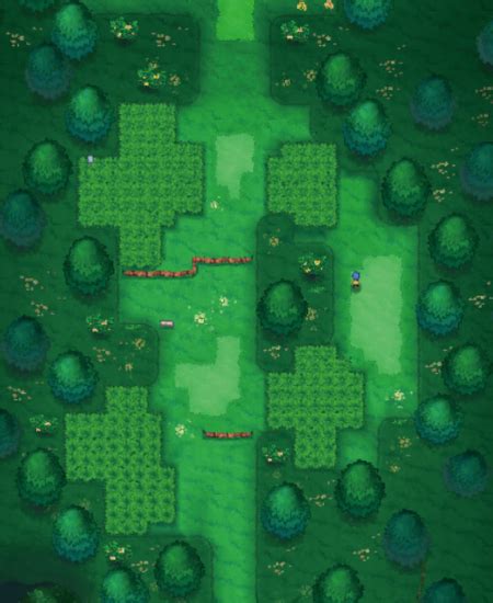 Appendix : Ruby and Sapphire walkthrough/Section 1 .